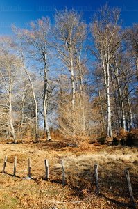 08MOA0041-Sierra de Urbasa, Navarra