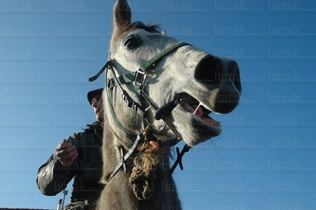 08RT0138-Campesino a Caballo   . Nafarroa Beherea
