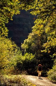 08RT0143-Senderismo Peñas Itxutxi. Saint Jean Pied de Port, Naf