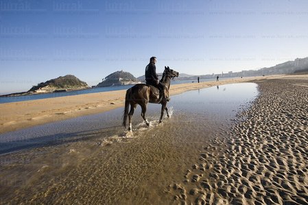 09JHJ_0002-Caballo. Playa de Ondarreta, San Sebastian, Gipuzkoa,