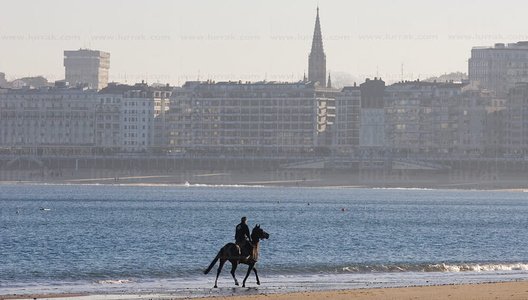 09JHJ_0007-Caballo. Playa de Ondarreta, San Sebastian, Gipuzkoa,