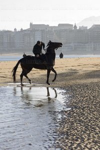 09JHJ_0008-Playa de Ondarreta, San Sebastian, Gipuzkoa, Euskadi