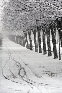 09JHJ_0016-Nieve en el Paseo de Francia, San Sebastian, Gipuzkoa
