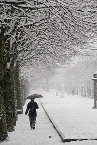 09JHJ_0018-Nieve en el Paseo de Francia, San Sebastian, Gipuzkoa