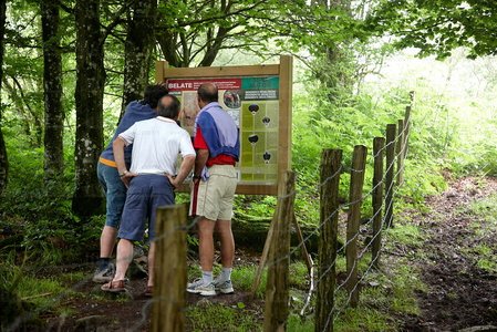 09PXE_1021-Senderismo. Bosque, Belate, Navarra