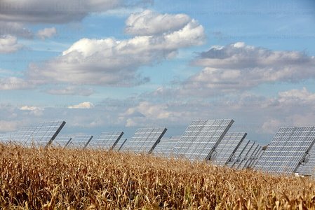 09PXE_1061-Paneles solares, Energía fotovoltaica, Huerta solar.