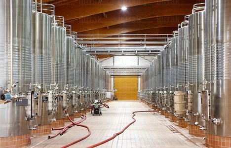 09PXE_238-Bodegas Marqués de Riscal. Elciego, Alava, Euskadi
