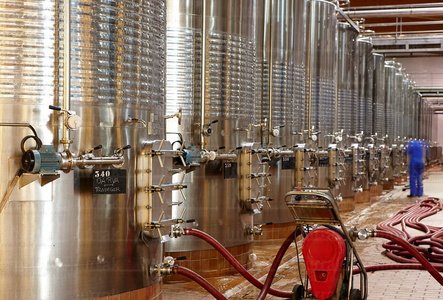 09PXE_241-Bodegas Marqués de Riscal. Elciego, Alava, Euskadi