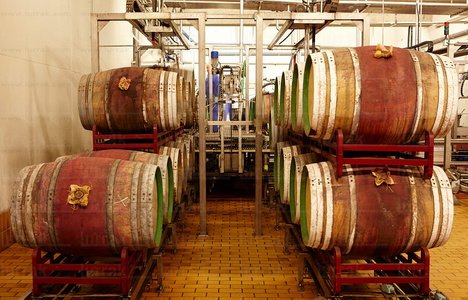 09PXE_243-Bodegas Marqués de Riscal. Elciego, Alava, Euskadi
