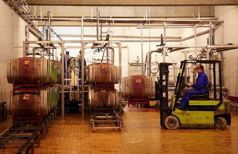 09PXE_244-Bodegas Marqués de Riscal. Elciego, Alava, Euskadi