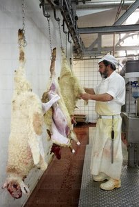 09PXE_752-Matadero Urkaiko. Zestoa, Gipuzkoa, Euskadi