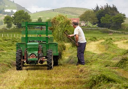 09PXE_773-Labores agrícolas. Recogiendo hierba en Endoia. Zesto