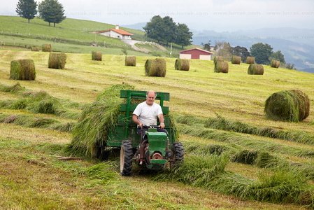 09PXE_774-Labores agrícolas. Transportando hierba en Endoia. Ze