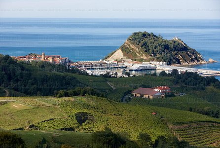 010PXE_0192-Viñedos. Txakolí. Getaria, Gipuzkoa, Euskadi