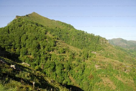 010RT_0029-Valle del Baztán, Navarra