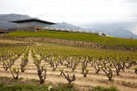 011MDR_0002-Bodegas Baigorri, Samaniego, Alava, Euskadi