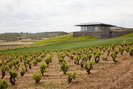 011MDR_0011-Bodegas Baigorri, Samaniego, Alava, Euskadi