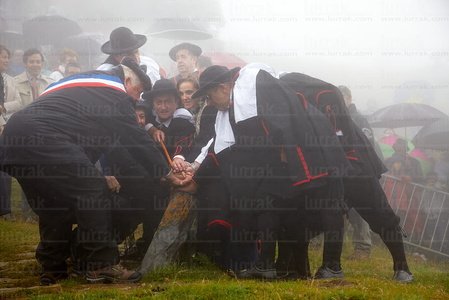 011MDR_0661-El Tributo de las Tres Vacas, Navarra