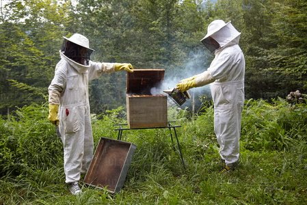 011MDR_0815-Apicultores, Pagoeta. Aia, Gipuzkoa, Euskadi