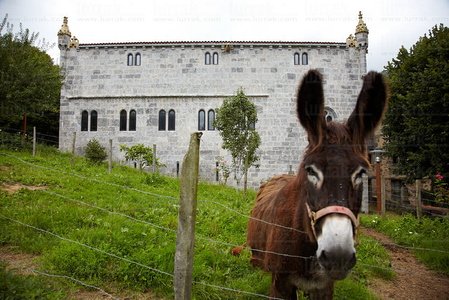 011MDR_0821-Palacio Lili. Zestoa, Gipuzkoa, Euskadi