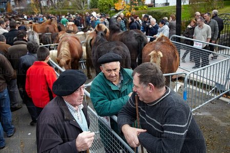 011MDR_0895-Feria Caballar de Santa Lucía. Zumárraga, Gipuzkoa