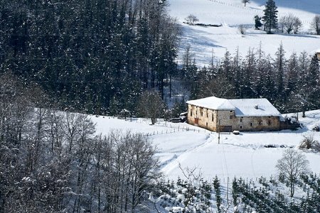 011PXE_0562-Nieve en Oñati. Gipuzkoa, Euskadi