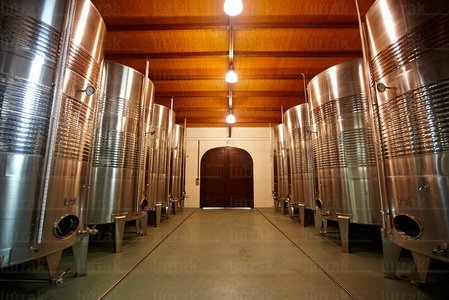 011PXE_1175-Bodegas Txomin Etxaniz. Txakoli. Getaria, Gipiuzkoa,