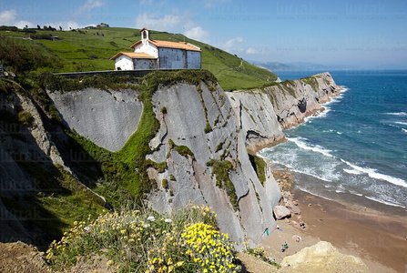 011PXE_1181-Playa de Itzurun. Flysch. Zumaia, Gipuzkoa, Euskadi