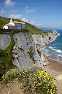 011PXE_1183-Playa de Itzurun. Flysch. Zumaia, Gipuzkoa, Euskadi