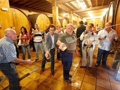011PXE_1501-Txotx en Sidrería. Aduna, Gipuzkoa, Euskadi