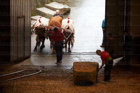 012MDR_0091-Arrastre de Bueyes. Deporte rural vasco. Aia, Gipuzk