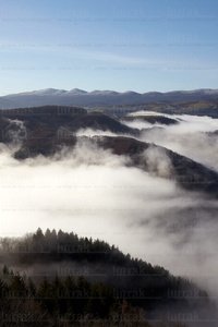 012MDR_0389-Sierra de Aralar. Navarra