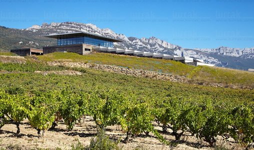 012PXE_0057-Bodegas Baigorri, Samaniego, Alava, Euskadi