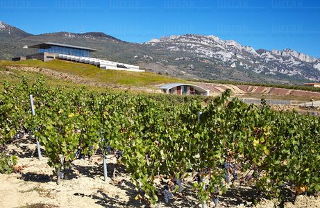 012PXE_0058-Bodegas Baigorri, Samaniego, Alava, Euskadi