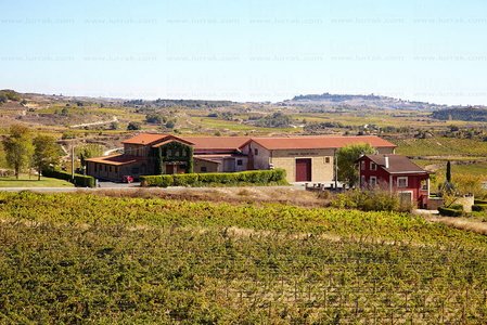 012PXE_0087-Bodegas Virgen del Valle. Samaniego, Alava, Euskadi