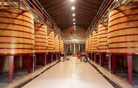 012PXE_0090-Bodegas Marqués de Riscal. Elciego, Alava, Euskadi
