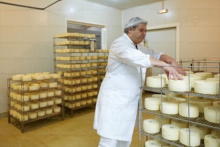 013PXE_0016-Elaboración Queso de Idiazabal, Oñati, Gipuzkoa, E
