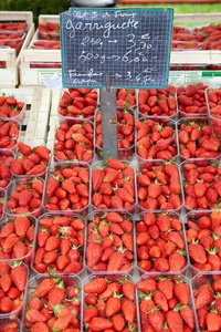 013PXE_0441-Fresas
