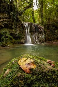 014PPG_0002-Hojas-Cascada-Altube-Álava-Euskadi