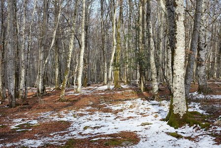 09141-Hayas, Monte Santiago, Sierra Salvada, Alava