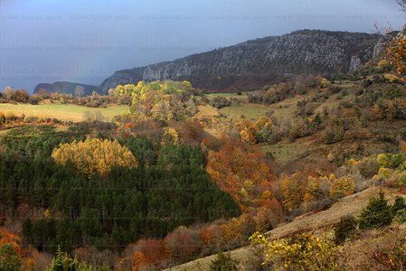 09285-Paisaje-Otoño-Abodi-Navarra