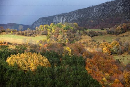 09286-Otoño-Sierra-Abodi-Navarra