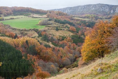 09301-Otoño-Abodi-Navarra