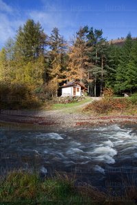 09312-Selva-Irati-Río-Urbeltza-Navarra