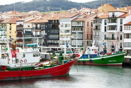 09508-Pesqueros-Casas-Marineras-Lekeitio-Bizkaia-Euskadi