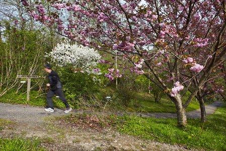 09635-Jardín-Botánico-Pagoeta-Aia-Gipuzkoa-Euskadi