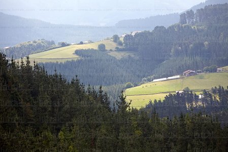 09970-Paisaje-Bolibar-Bizkaia-Euskadi