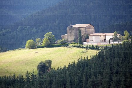 09974-Colegiata de Zenarruza . Bolivar, Bizkaia, Euskadi