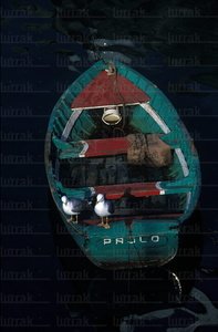 00193-Bote-Gaviota-Puerto-Lekeitio