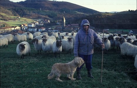 00255-Pastor-Rebaño-Ubidea-Bizkaia-Euskadi